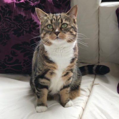 xxkerry86xx's profile picture. 