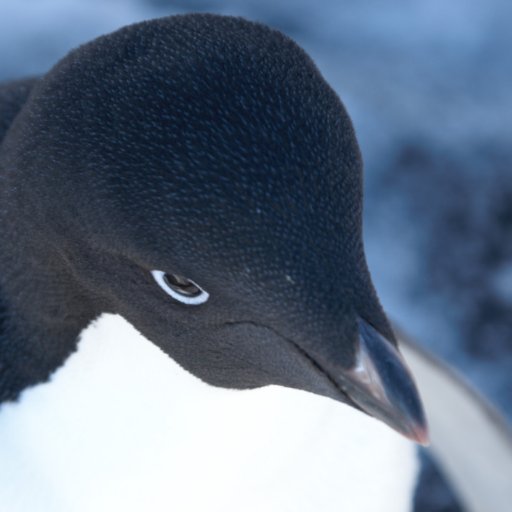 Antarctica, Filmmaker, Photographer, Science, Specialist Cameras, Technology, Nature, New Zealand.
Social @antzkiwi
'Antarctica: A Year On Ice