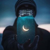 🌜moonlight🌛 (@moonlight4444) 's Twitter Profile