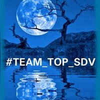 TEAM_TOP_SDV (@team_top_sdv) 's Twitter Profile