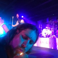 Dan's 420 Chronicles(@dan_chronicles) 's Twitter Profile Photo