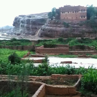 Turkymanea's profile picture. الحمدلله الذي بنعمته تتم الصالحات.