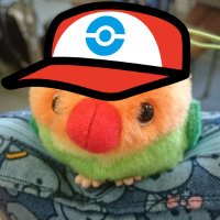 ひらいで (@hirapoppo_s) 's Twitter Profile
