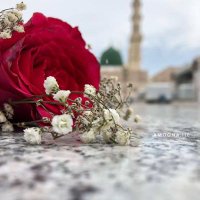 amal Gadr (@adwynada) 's Twitter Profile