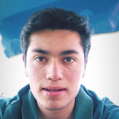 AlanLobito's profile picture. P8 | FCiencias |