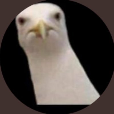 traytooshot's profile picture. 