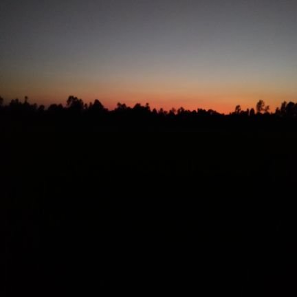 Sharif24lalon's profile picture. Only Tech