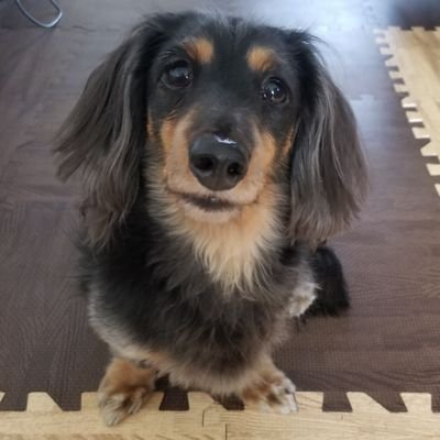 metalpaama's profile picture. 巨人・Y-3・Off-White・ニューエラ・ポケカ(コレクター兼プレイヤー)・アニメ・熟女・うまい飯　メタル杯