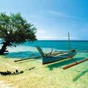 Nelly Rojas - @Nellyr60 - Twitter