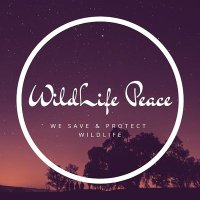 WildLife Peace.co(@wildlife_co) 's Twitter Profile Photo