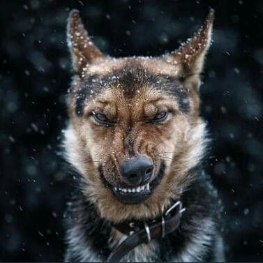 9051The's profile picture. the one