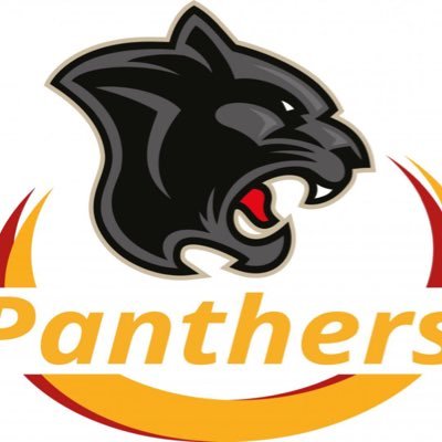 Panmure Panthers