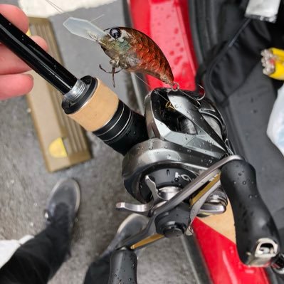 Siodaifuku0's profile picture. 最近はバンドリとBO3