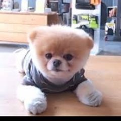 Rachell71938879's profile picture. 