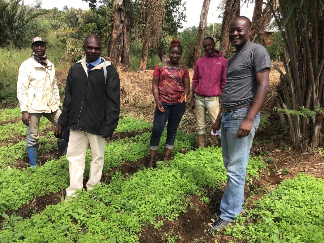 President-Community Green Engagement(COMGREEN) - Cameroon/Secretary General Bamenda Red Cross Local Community