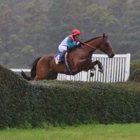 Steven Pateman (@patemanracing) 's Twitter Profile