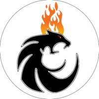 BLACKPANTHEROFFICIAL (@blackpantherof2) 's Twitter Profile