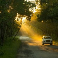 Incredible Wayanad (@incrediblewaya2) 's Twitter Profile