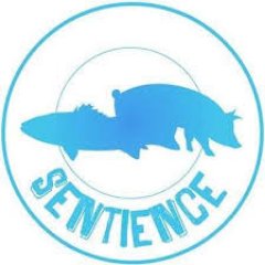 SentienceRennes's profile picture. 