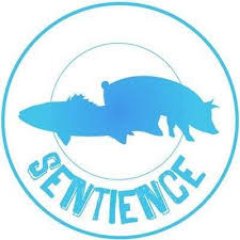 🐷 Association étudiante antispéciste
📌 Antenne rennaise du réseau Sentience
✊ Sensibilisation autour de l'éthique animal