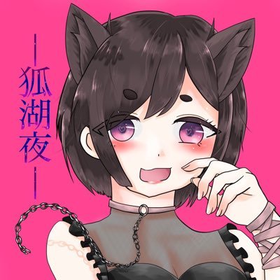 狐湖夜のアカウントでした！ばさんのプロフィール画像
