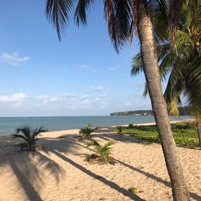 arulipe's profile picture. 