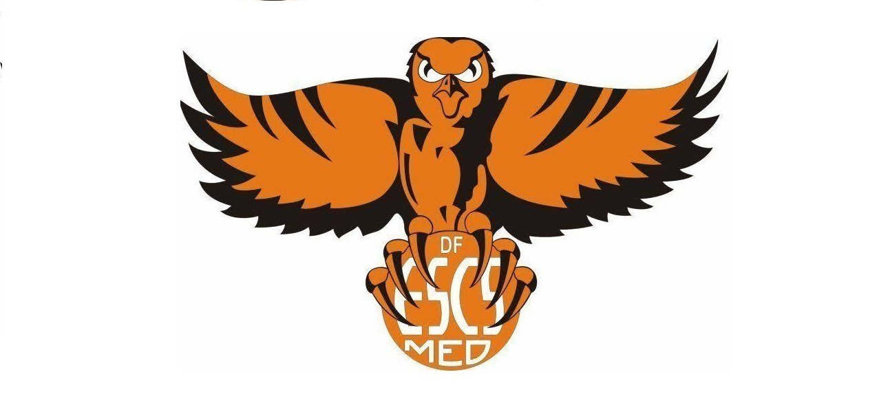 EscsVem's profile picture. 