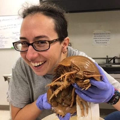 Collections Mgr, Non-molluscan Inverts @ NCMNS | Marine biologist-bryozoans (aka ectoprocts), introduced inverts. Opinions my own. She/her. IG: megan.mcculler