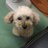 まなみ∞岡山のTwitterプロフィール画像
