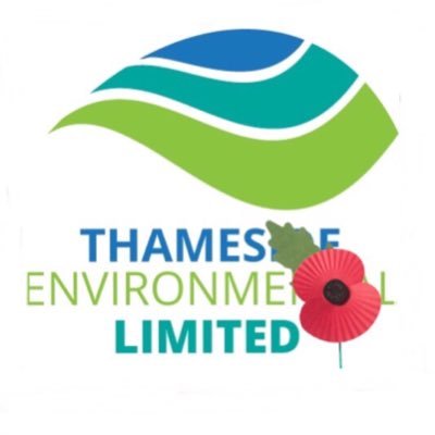 Thameside Environmental Ltd | Asbestos Surveying Specialists | Undertaking Commercial & Domestic Building Premises in Management & Re-furb/Demolition Surveys.