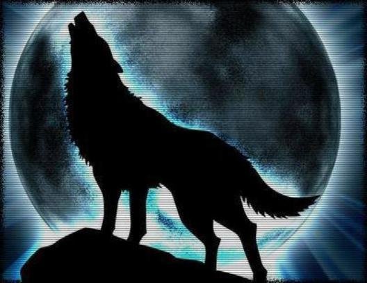 GurvanMercerie's profile picture. 