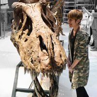 Claire Peyre de Fabrègues (@clairepdf) 's Twitter Profile