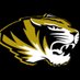DCHS Lady Tigers (@dchsladytigers) Twitter profile photo