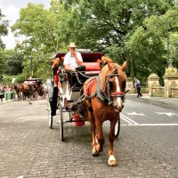 Sara👩🏻‍🏫 (@i__sara21) Twitter profile photo