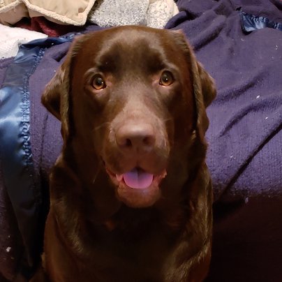 itsnaught's profile picture. Insufferable. I don't mean to be annoying, it just comes naturally. (He/Him). Would totally be your friend.