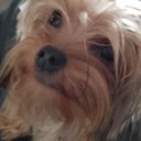 Tammy Autry - @TammyAutry4 - Twitter