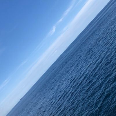 g_ryuma's profile picture. えほん屋Lv.30 @KoeNekono