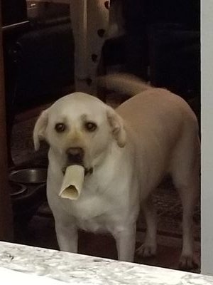 MrsK_Clarke's profile picture. Teaching in the 21st century.