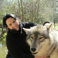 Suzanne Shuping (@shupinglhs) 's Twitter Profile