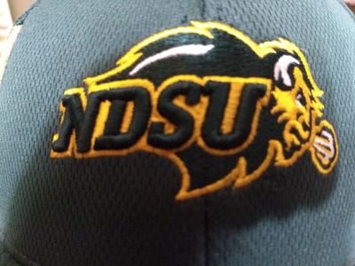 SuperTarv's profile picture. Daddy to 3 girls. Husband to one. Bison fan. Bridge inspector.
