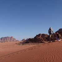 Connor Martindale (@martindalexc) 's Twitter Profile
