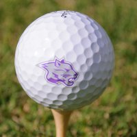 YoungHarrisGolf (@youngharrisgolf) 's Twitter Profile