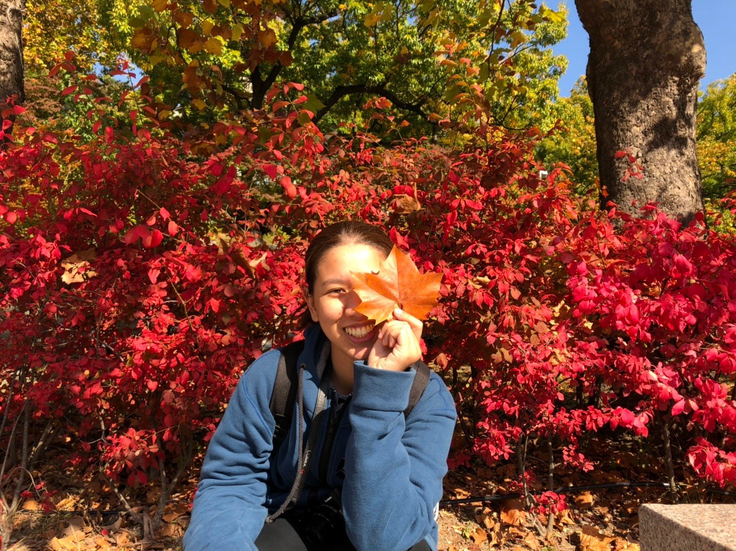 Supadsha230633's profile picture. 