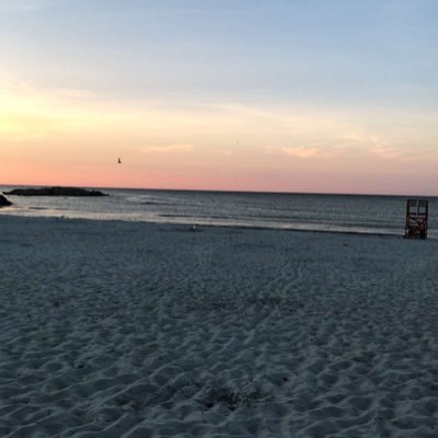 NicoleMcNeil3's profile picture. 