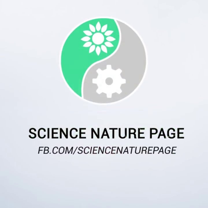 sciencenaturepage Profile