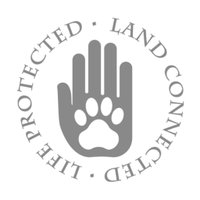 Loisaba Conservancy (@loisaba) 's Twitter Profile Photo