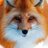 もふ狐🦊のアイコン