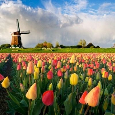 roncrypto24's profile picture. 