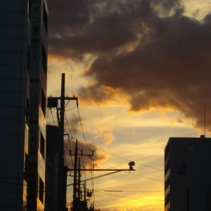 banana_doubutu's profile picture. 色々好きです(歌手 ボカロ  歌い手など)
同坦拒否してないので誰でも絡んできてください
よろしくお願いします(＾ω＾)ﾆｺﾆｺ