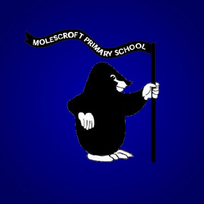 Molescroft Primary Profile